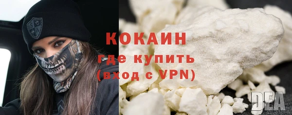 дживик Белокуриха