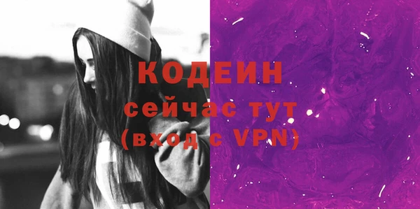 дживик Белокуриха