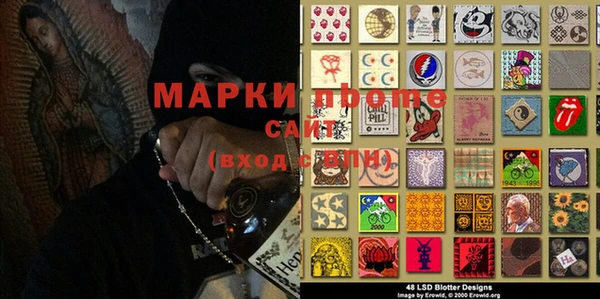молекула духа Богородицк