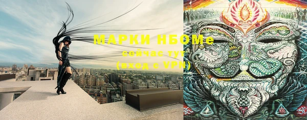молекула духа Богородицк