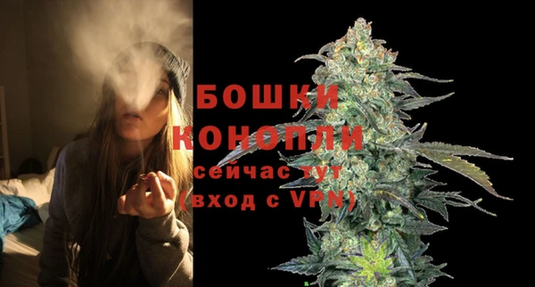 молекула духа Богородицк