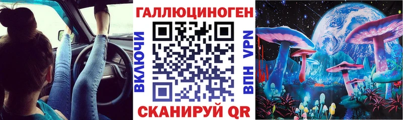 МЕГА ссылка  Городец  Псилоцибиновые грибы прущие грибы 